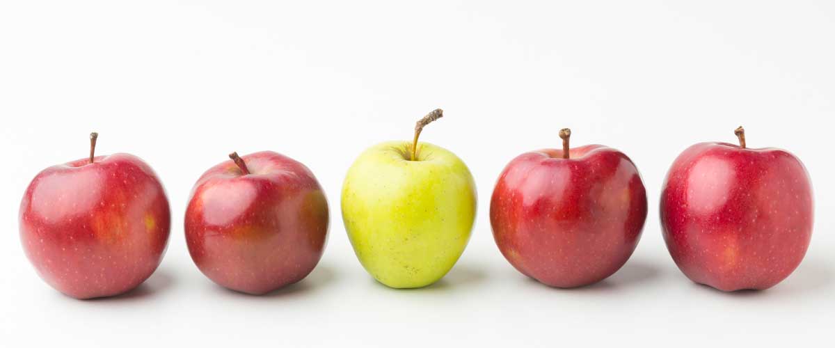 Minőségellenőrzés az ellátási láncban – hibás tétel elkülönítése a Business Central Quality Management szemléletével