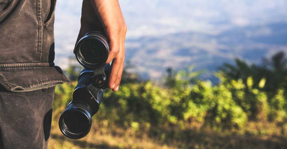 Cégvezető távcsővel a jövőbe néz – az ERP rendszer segít előre látni a vállalat működését és megtérülő döntéseket hozni