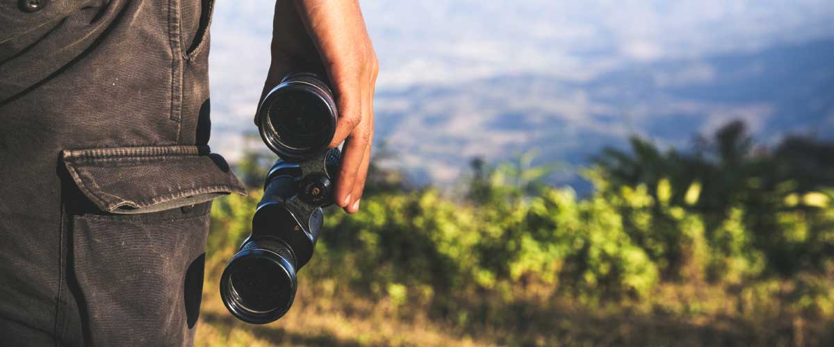 Cégvezető távcsővel a jövőbe néz – az ERP rendszer segít előre látni a vállalat működését és megtérülő döntéseket hozni